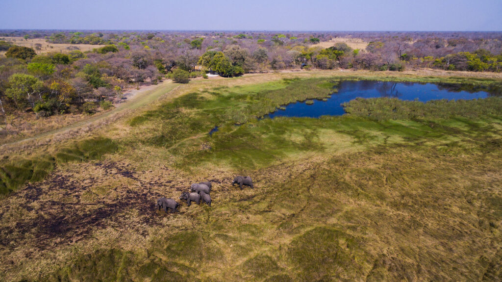 Elephants in front of Plains Camp - Aerial view of Kafue National Park - Safari Destination