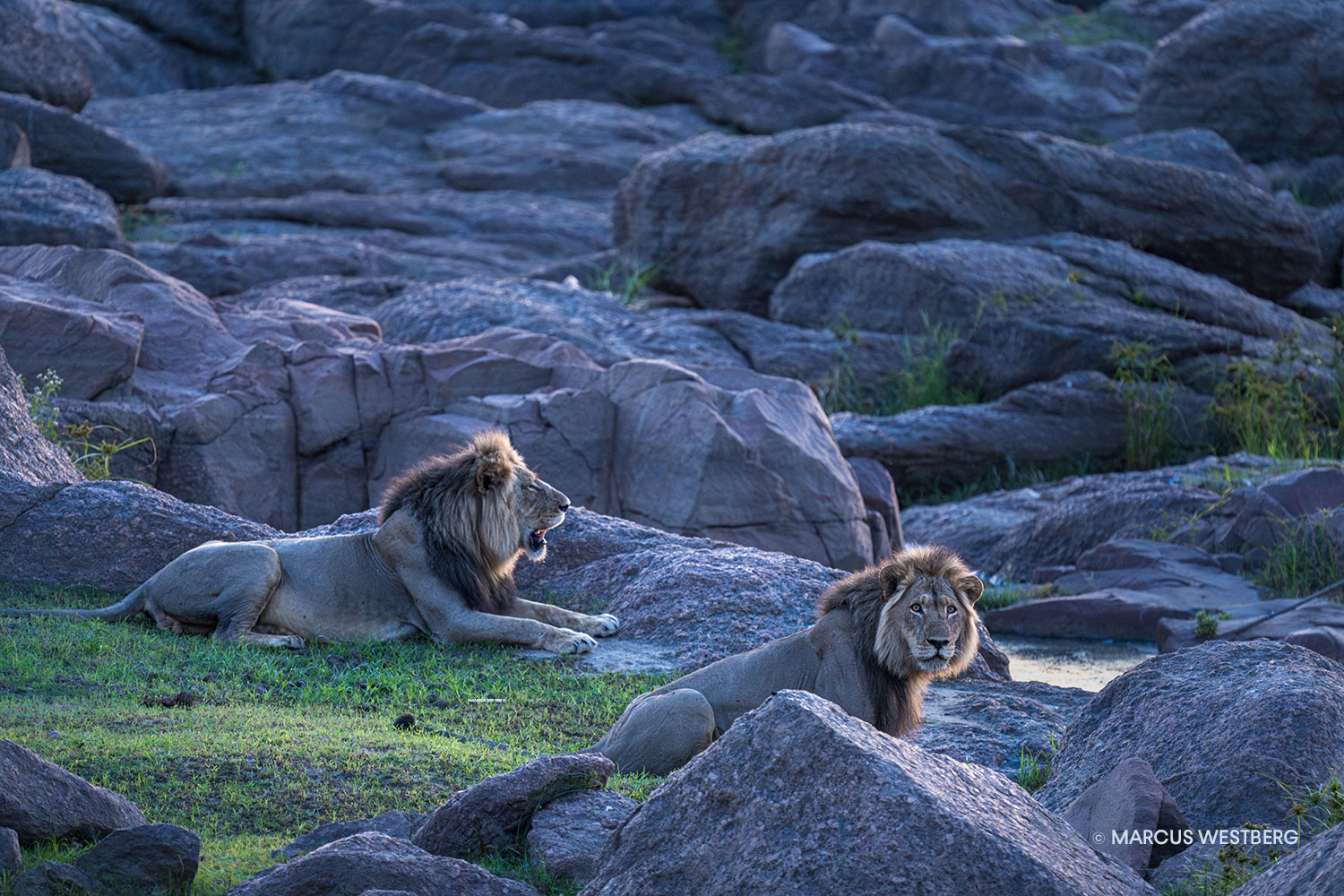 08-Marcus-Westberg-Lake-Itezhi-itezhi-Kafue-National-Park