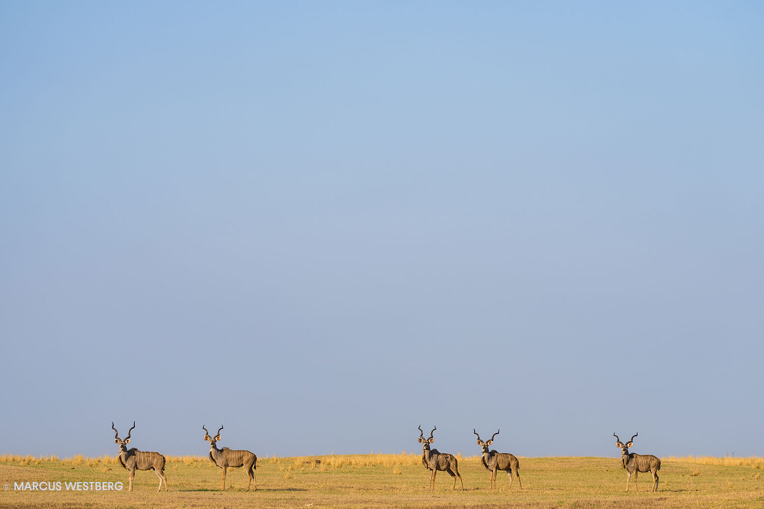 09-Marcus-Westberg-Lake-Itezhi-itezhi-Kafue-National-Park