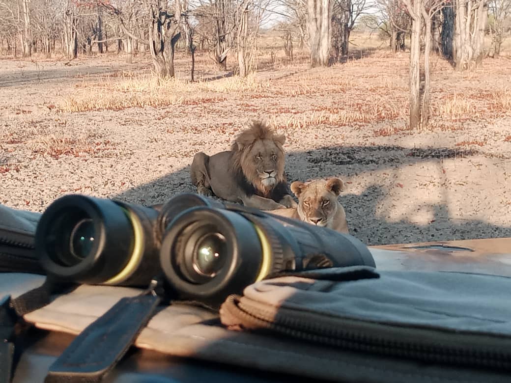 kafue national park safari wildlife sightings 6
