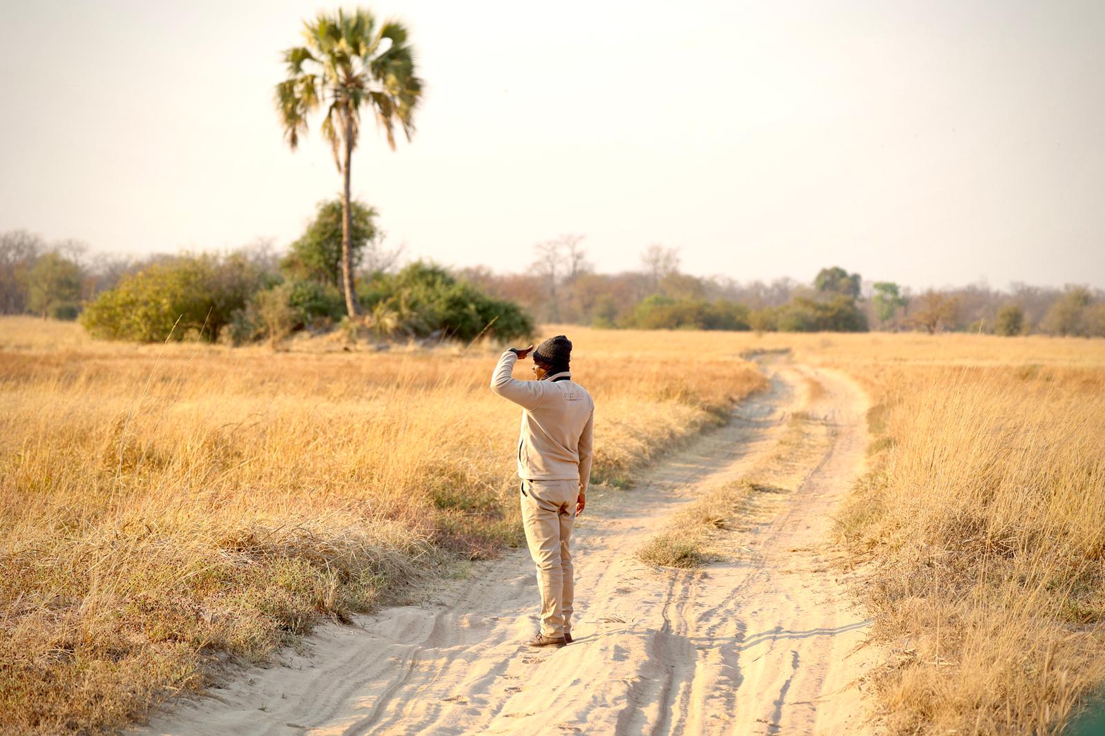 kafue national park wildlife sightings nanzhila safaris 14
