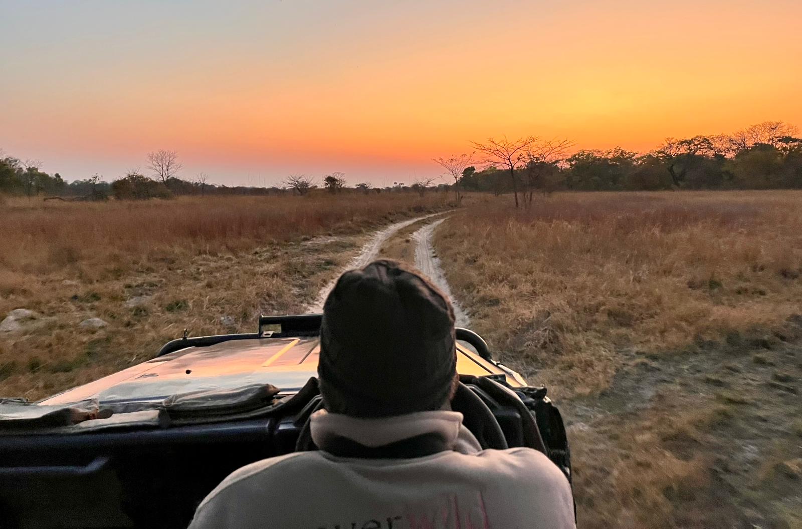 kafue national park wildlife sightings nanzhila safaris 7