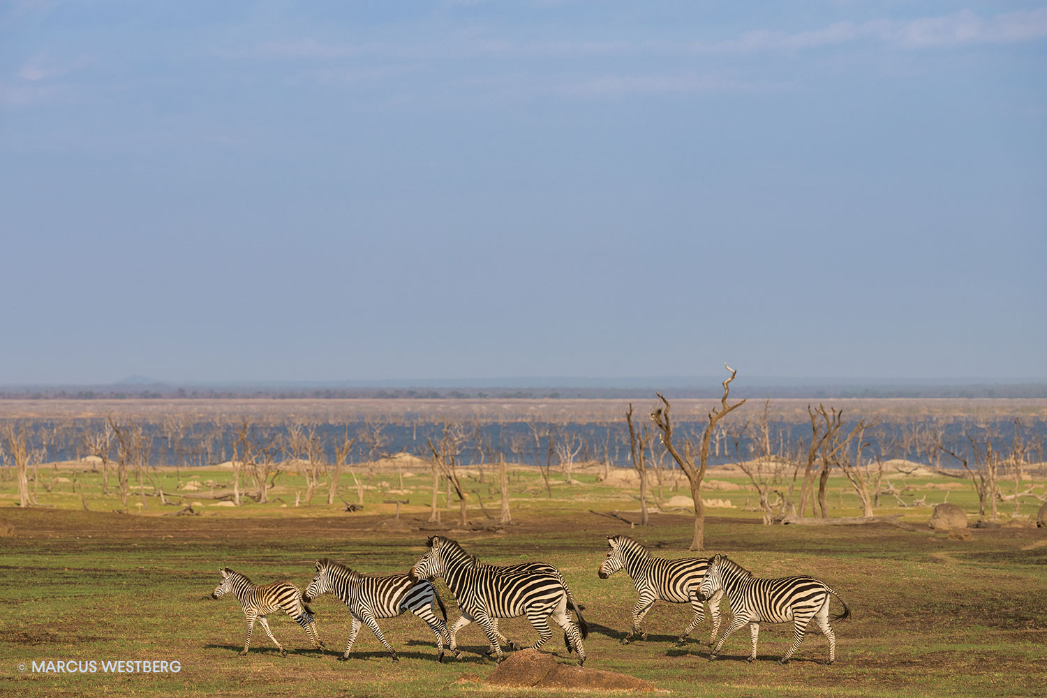 10-Marcus-Westberg-Lake-Itezhi-itezhi-Kafue-National-Park