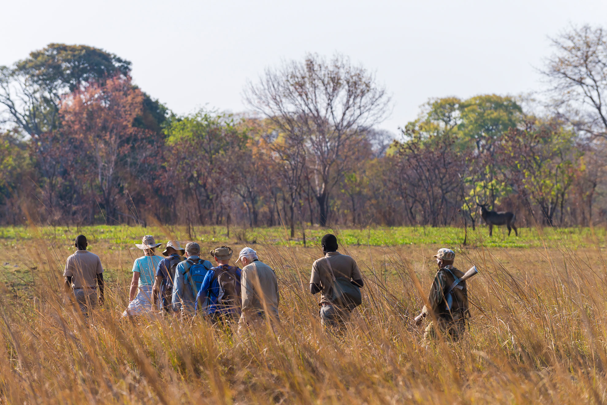 Nanzhila Plains-southern kafue zambia walking safari