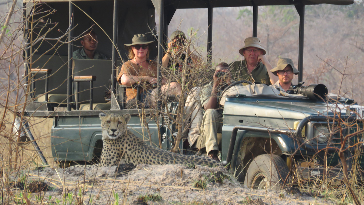kafue-national-park-nanzhila-lake-cheetah