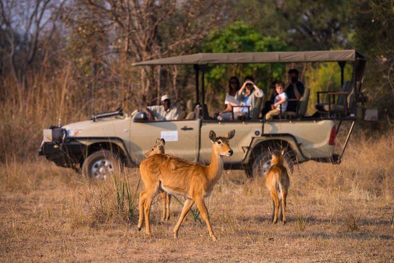 kaingu river lodge game drive