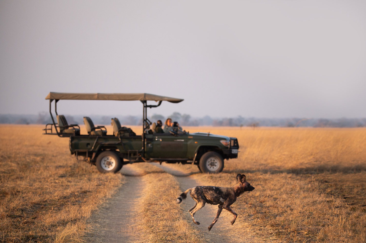 kasonso-busanga-safari-lodge-1